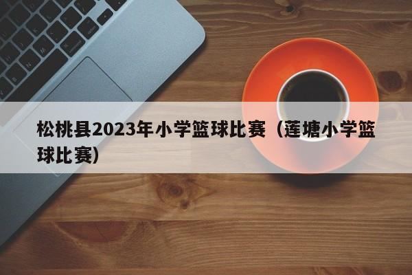 松桃县2023年小学篮球比赛（莲塘小学篮球比赛）
