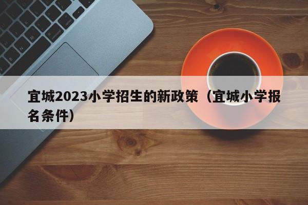 宜城2023小学招生的新政策（宜城小学报名条件）