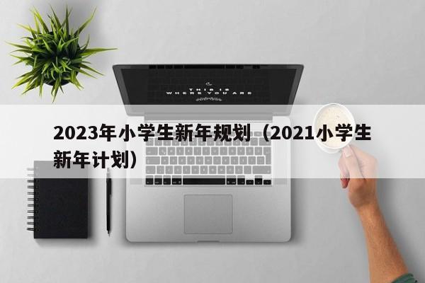 2023年小学生新年规划（2021小学生新年计划）
