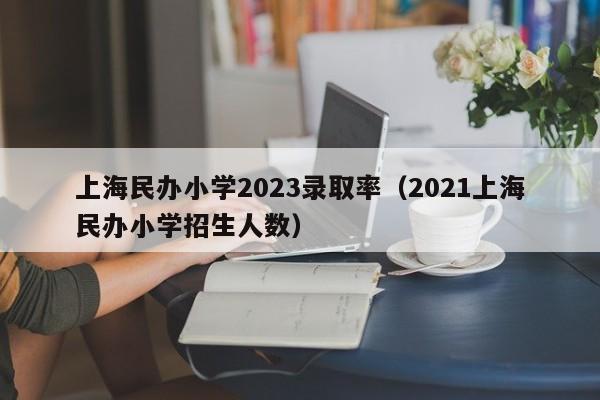 上海民办小学2023录取率（2021上海民办小学招生人数）